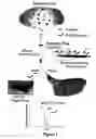 Fig. 02 - Integrated high throughput system for the analysis of biomolecules