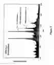 Fig. 06 - Integrated high throughput system for the analysis of biomolecules