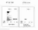 Fig. 02 - Streptomyces strain that decomposes proteins recalcitrant to proteolysis