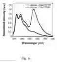 Fig. 07 - Methods for detection and analysis of polynucleotide-binding protein interactions