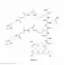 Fig. 16 - Polyvalent protein complex