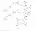 Fig. 18 - Polyvalent protein complex