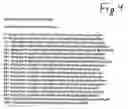 Fig. 06 - Telomerase interference