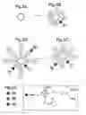 Fig. 03 - Libraries of oligomers labeled with different tags
