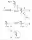 Fig. 04 - Libraries of oligomers labeled with different tags