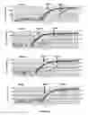 Fig. 20 - Methods and compositions for amplification of RNA sequences