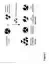 Fig. 02 - April variants and methods thereof