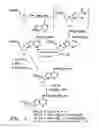 Fig. 06 - Nucleic acid labeling compounds