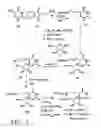 Fig. 08 - Nucleic acid labeling compounds