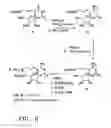 Fig. 09 - Nucleic acid labeling compounds