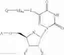 Fig. 45 - Nucleic acid labeling compounds