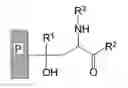 Fig. 01 - Surface-functionalized carrier material and solid phase synthesis method