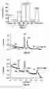 Fig. 06 - Lineage-restricted neuronal precursors
