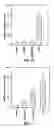 Fig. 07 - Lineage-restricted neuronal precursors