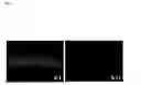 Fig. 06 - Ectocornea-like sheet and method of constructing the same