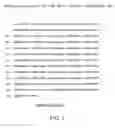 Fig. 09 - Altered recombinases for genome modification
