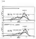 Fig. 07 - ES cells having enhanced RNAi effect