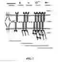 Fig. 02 - Selective R-cadherin antagonist and methods