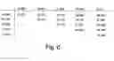 Fig. 09 - Vertebrate embryonic pattern-inducing proteins and uses related thereto