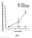 Fig. 02 - Use of isolated domains of type IV collagen to modify cell and tissue interaction