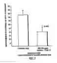 Fig. 06 - Use of isolated domains of type IV collagen to modify cell and tissue interaction