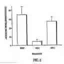 Fig. 07 - Use of isolated domains of type IV collagen to modify cell and tissue interaction