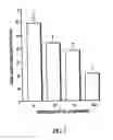 Fig. 08 - Use of isolated domains of type IV collagen to modify cell and tissue interaction