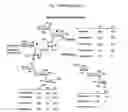 Fig. 02 - Bifunctional antibiotics for targeting rRNA and resistance-causing enzymes