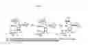 Fig. 07 - Bifunctional antibiotics for targeting rRNA and resistance-causing enzymes