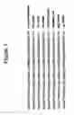 Fig. 02 - Plasmid mediated GHRH supplementation for renal failures