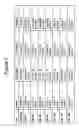 Fig. 06 - Plasmid mediated GHRH supplementation for renal failures