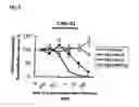 Fig. 03 - Method of inhibiting gene expression