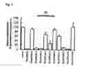Fig. 04 - Method of inhibiting gene expression
