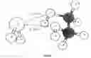 Fig. 02 - Biologically active complex