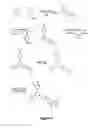 Fig. 07 - Prenylation inhibitors containing dimethylcyclobutane and methods of their synthesis and use