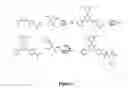 Fig. 08 - Prenylation inhibitors containing dimethylcyclobutane and methods of their synthesis and use