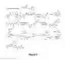 Fig. 09 - Prenylation inhibitors containing dimethylcyclobutane and methods of their synthesis and use