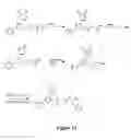 Fig. 12 - Prenylation inhibitors containing dimethylcyclobutane and methods of their synthesis and use
