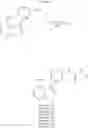 Fig. 58 - 4-Amino-2,3-disubstituted thieno[2,3-d]pyrimidines and pharmacetical compositions thereof