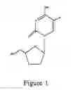 Fig. 02 - Antiviral activity and resolution of 2-hydroxymethyl-5-(5-fluorocytosin-1-yl)-1,3-oxathiolane