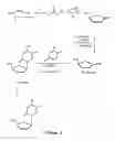Fig. 03 - Antiviral activity and resolution of 2-hydroxymethyl-5-(5-fluorocytosin-1-yl)-1,3-oxathiolane