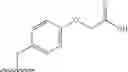 Fig. 125 - Spiro-hydantoin compounds useful as anti-inflammatory agents