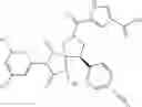 Fig. 221 - Spiro-hydantoin compounds useful as anti-inflammatory agents