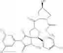Fig. 254 - Spiro-hydantoin compounds useful as anti-inflammatory agents
