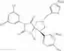 Fig. 406 - Spiro-hydantoin compounds useful as anti-inflammatory agents