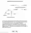 Fig. 08 - Kinesin inhibitors