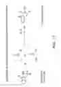 Fig. 14 - Kinesin inhibitors