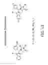 Fig. 15 - Kinesin inhibitors