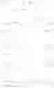 Fig. 41 - Tricyclic fused heterocyclic compound, process for preparing it and medicament comprising it