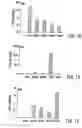 Fig. 02 - Composition and method for modulating BAR/FXR receptor activity